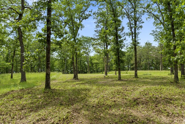 TBD Terrace Park Rd, Kimberling City, MO 65686