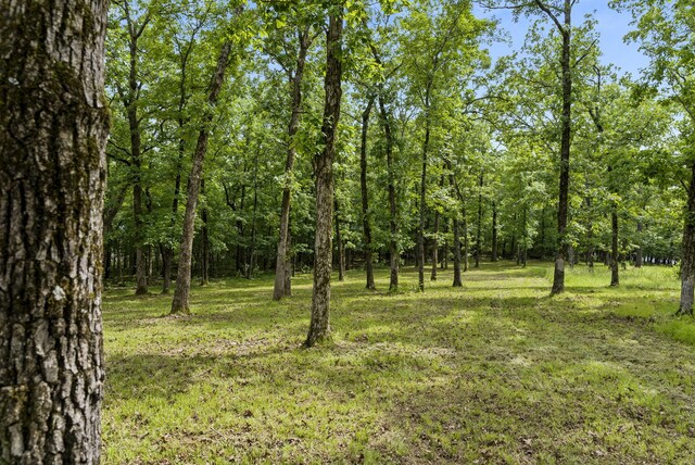 TBD Terrace Park Rd, Kimberling City, MO 65686