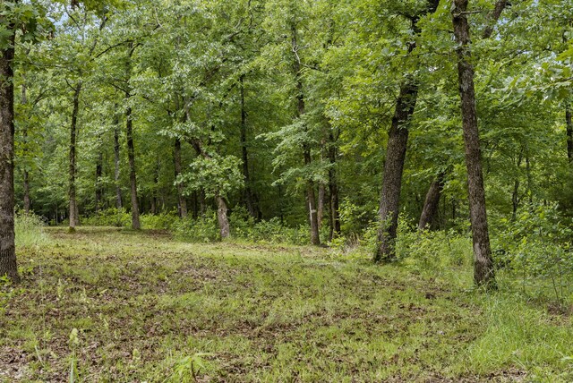 TBD Terrace Park Rd, Kimberling City, MO 65686