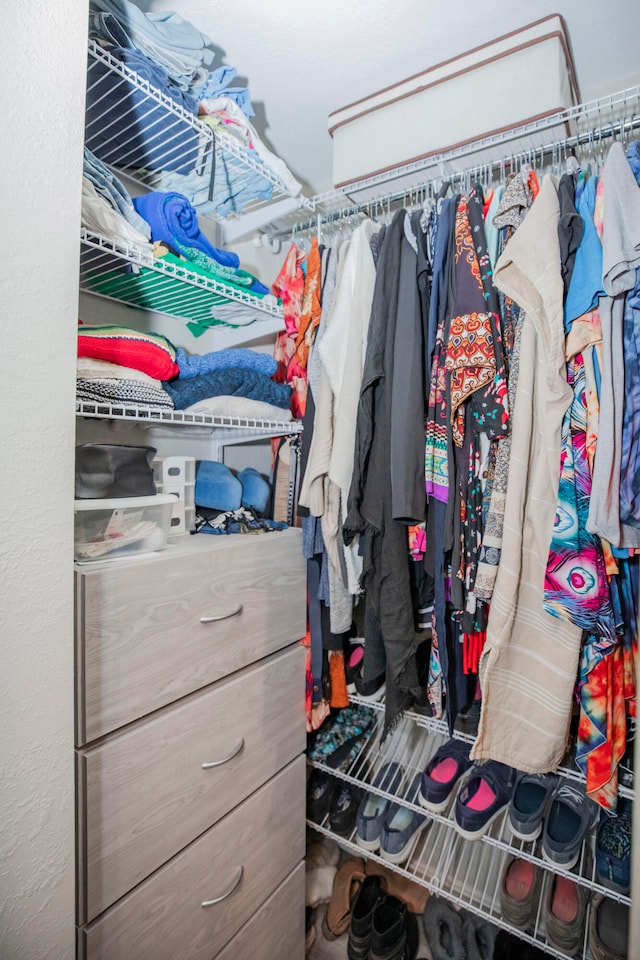 view of spacious closet