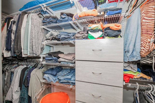 view of spacious closet