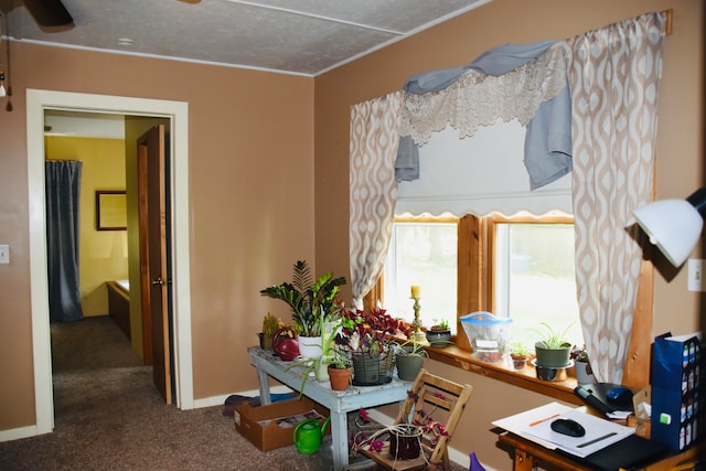 interior space with a textured ceiling