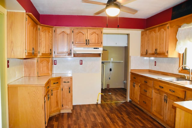 kitchen featuring decorative backsplash, ceiling fan, sink, and dark hardwood / wood-style floors