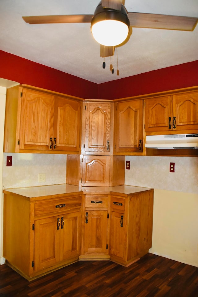 kitchen with dark wood-type flooring and tasteful backsplash