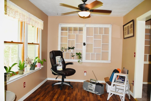 office area featuring ceiling fan and dark hardwood / wood-style floors