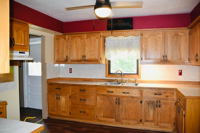 kitchen featuring ceiling fan, sink, dark hardwood / wood-style floors, and plenty of natural light