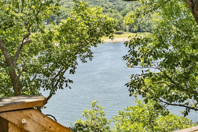 view of water feature