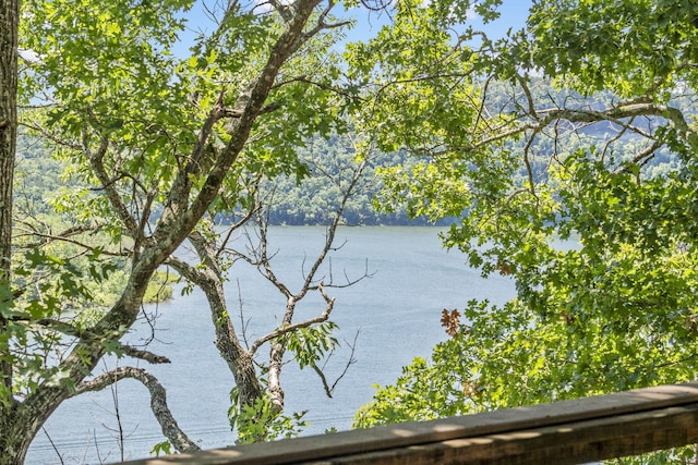 view of water feature