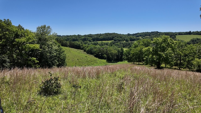 000 County Rd 945, Thornfield, MO 65762