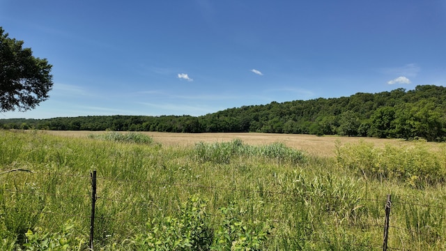 000 County Rd 945, Thornfield, MO 65762
