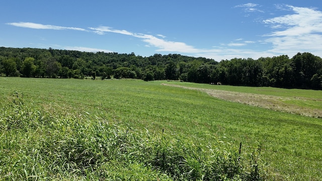 000 County Rd 945, Thornfield, MO 65762