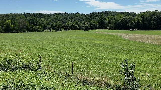 000 County Rd 945, Thornfield, MO 65762