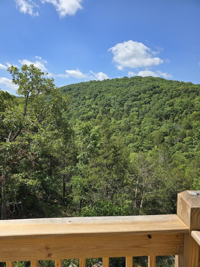 500 Timber Wolf Rd, Hollister, MO 65672 - property view of mountains with a view of trees