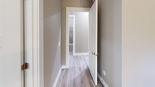 500 Timber Wolf Rd, Hollister, MO 65672 - corridor featuring light wood-type flooring and baseboards