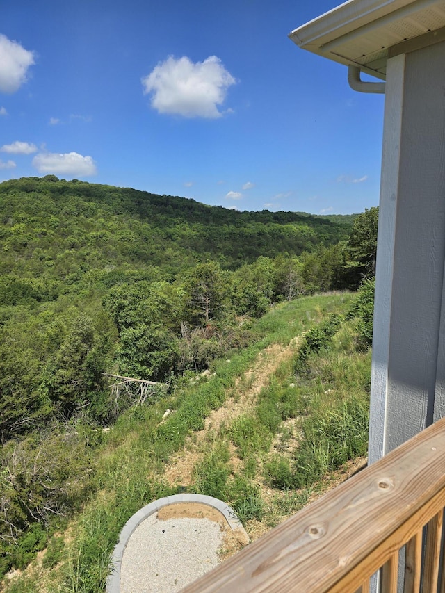 500 Timber Wolf Rd, Hollister, MO 65672 - mountain view with a view of trees