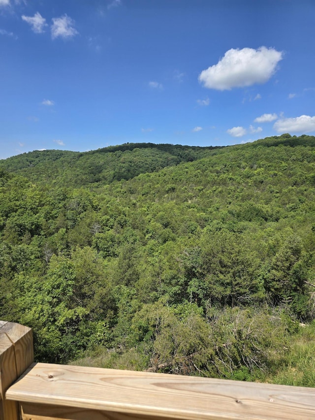 500 Timber Wolf Rd, Hollister, MO 65672 - mountain view featuring a forest view