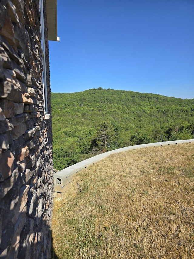 500 Timber Wolf Rd, Hollister, MO 65672 - view of yard with a forest view