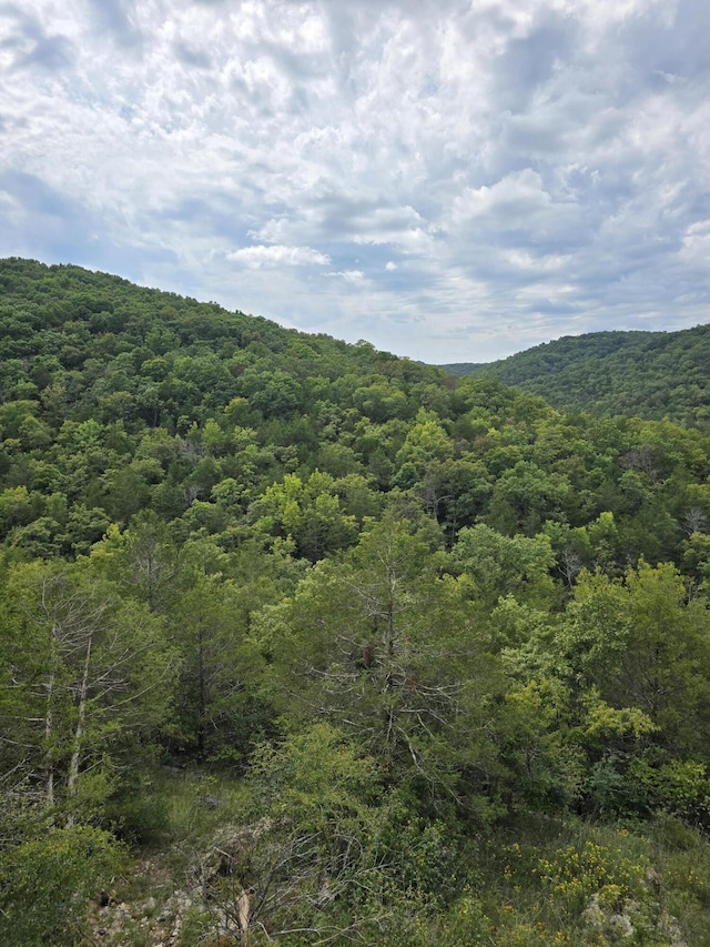 500 Timber Wolf Rd, Hollister, MO 65672 - mountain view featuring a forest view