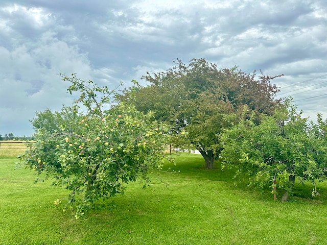 view of yard featuring a rural view