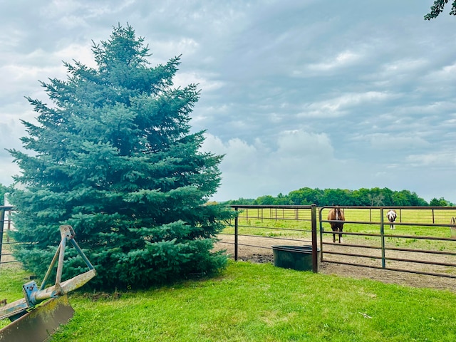 view of yard featuring a rural view