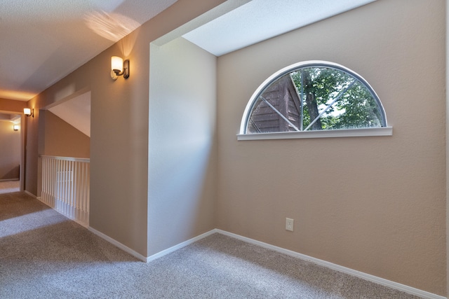 interior space featuring carpet floors