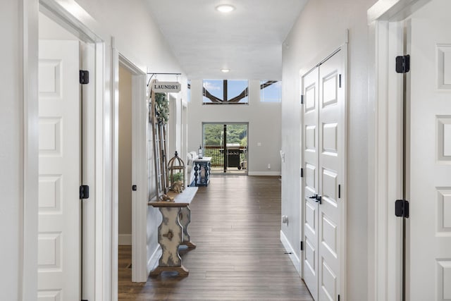 corridor featuring dark hardwood / wood-style floors