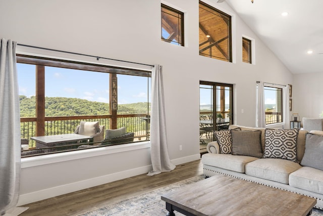 living room featuring wood-type flooring, high vaulted ceiling, and a wealth of natural light