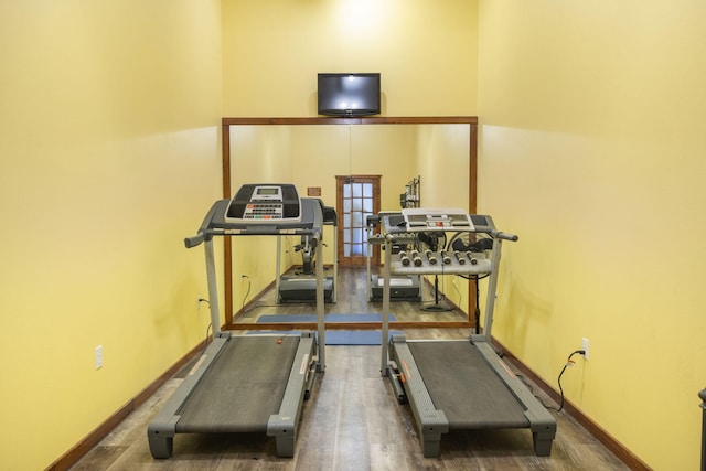 exercise room featuring dark hardwood / wood-style floors