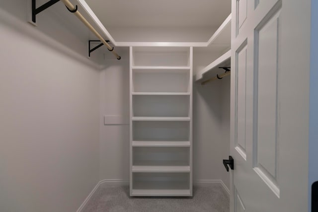 spacious closet with carpet floors