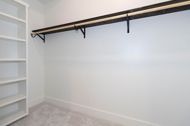 spacious closet featuring light colored carpet