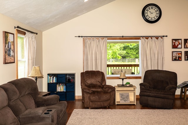 living room featuring vaulted ceiling and dark hardwood / wood-style flooring