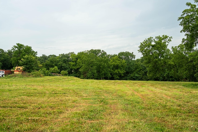 view of yard featuring a rural view