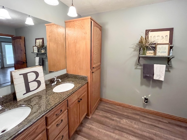 bathroom with hardwood / wood-style flooring and vanity