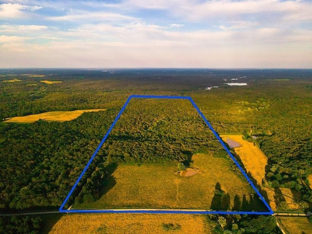 birds eye view of property with a rural view