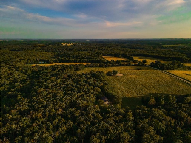 bird's eye view