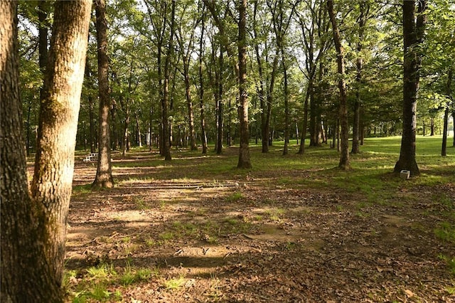 view of local wilderness