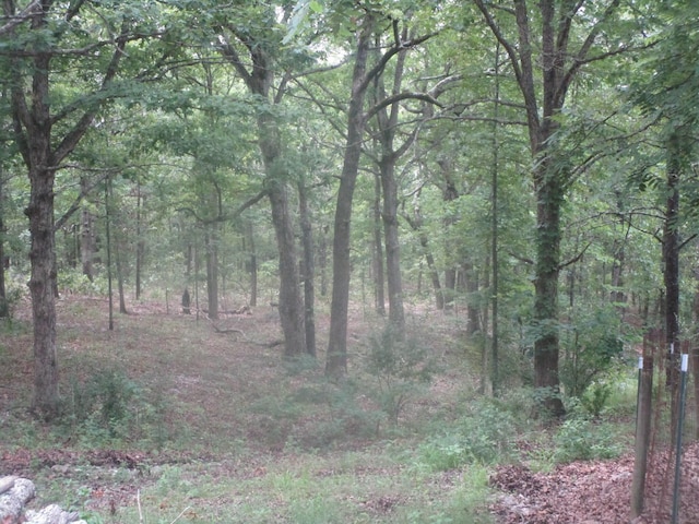 view of landscape featuring a view of trees