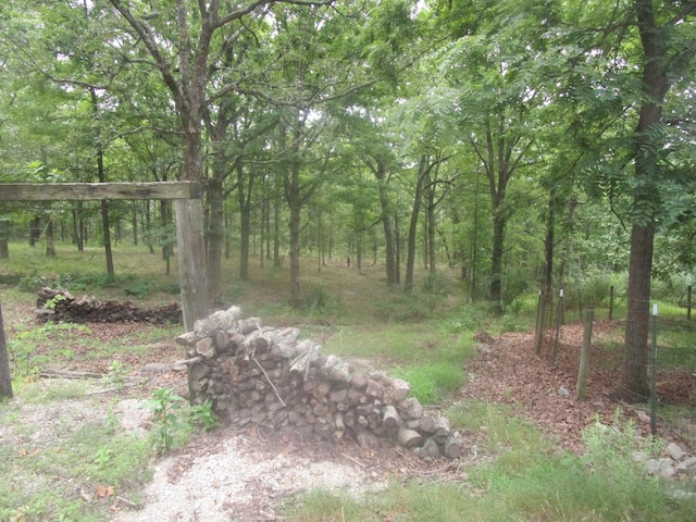 view of local wilderness with a view of trees
