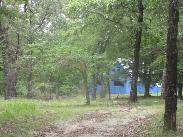 view of local wilderness featuring a wooded view