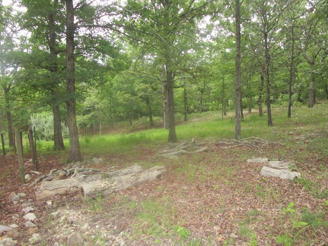 view of yard with a forest view