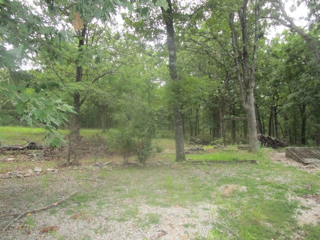 view of local wilderness