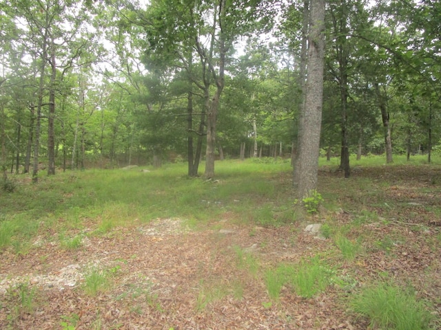 view of nature featuring a forest view