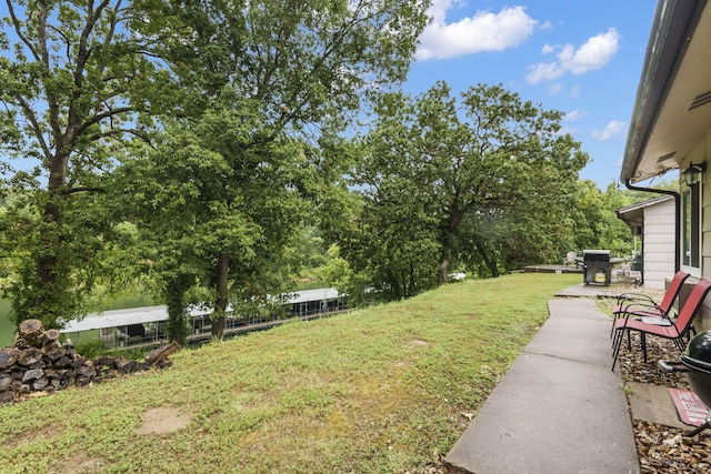 view of yard featuring a patio