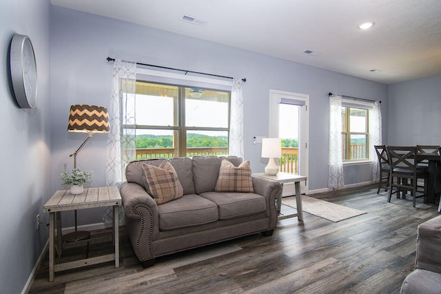 living room featuring dark hardwood / wood-style floors