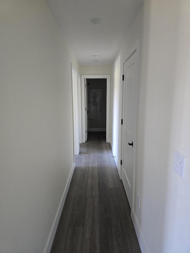 hallway featuring baseboards and dark wood-style flooring