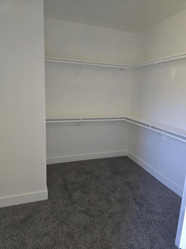 walk in closet with dark carpet