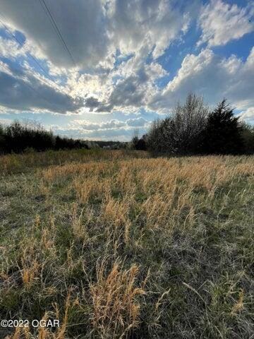 000 S High St, Neosho, MO 64850 - photo 8