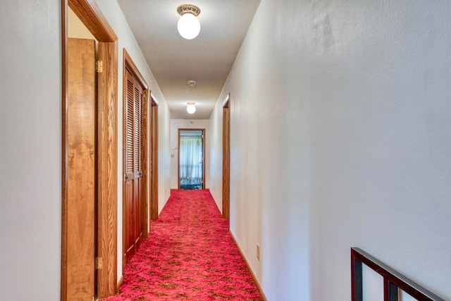 hallway with carpet floors