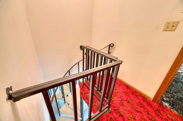 stairs with carpet floors