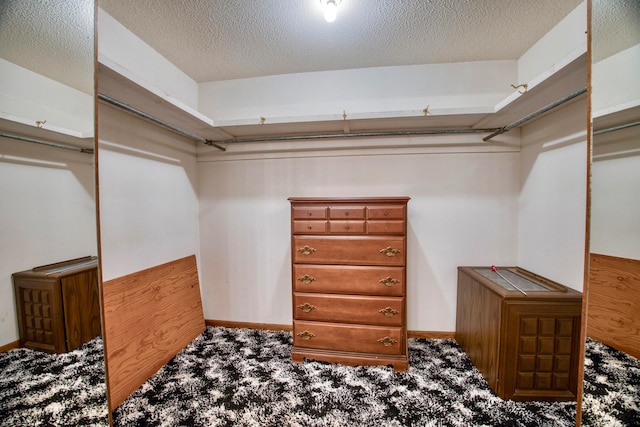 walk in closet featuring carpet